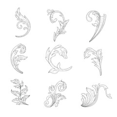 Floral decorative vector elements set