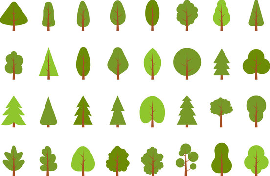 Flat trees set, pines, spruces, conifers and deciduous trees. Forest green tree nature plant isolated vector illustration