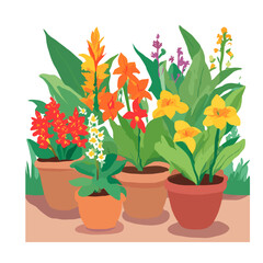 flowers in pots