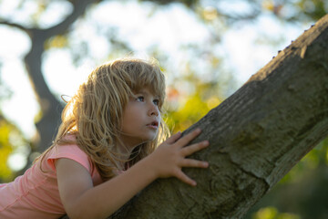 Kid boy playing and climbing a tree and hanging branch.