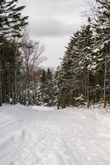  Winter landscape with snow covered trees.