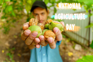National Agriculture Day, highlighting the growth of fresh produce amidst vibrant green foliage.