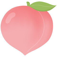 Pink peach illustration 