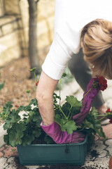 One person with gloves doing gardening