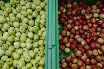 Green and red apples in a box on the counter