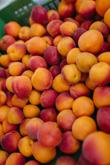 Large apricots lie in a box on the counter