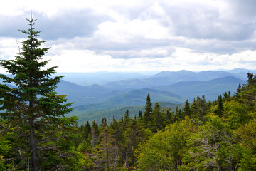 On the Summit of Wildcat Mountain