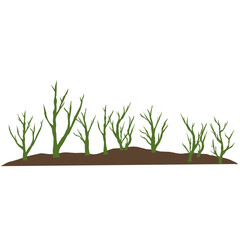 Illustration of a Mound of Land with Dry Trees