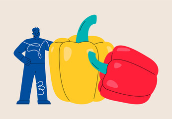 Man holding huge sweet bell pepper. Vegetarian healthy. Colorful vector illustration