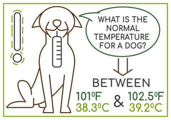 The normal temperature for a dog. Medical infographic. Landscape veterinarian poster. Useful information. Your pet wellbeing concept. Editable vector illustration isolated on a white background