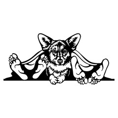 Waiting Corgi Dog - Funny Dog - Pet Dog Vector Clipart, Dog Silhouette Stencil
