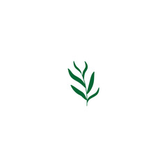 plant with green leaves vector leaf