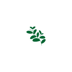 plant with green leaves vector leaf