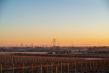 Fototapeta premium power lines in a rural landscape in the morning