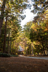 Naklejka premium 鎌倉 寿福寺の１月２