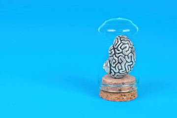 Miniature Steel Brain in Glass Vial on Blue