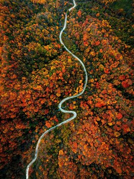 Golden Autumn Scenery of Qinling Mountains in Shaanxi