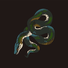 Fototapeta premium Rainbow boa. White lipped or water python. Tropical snake with patterned scale. Big exotic serpent with glossy skin. Dangerous cold blooded animal. Rainforest fauna. Flat isolated vector illustration