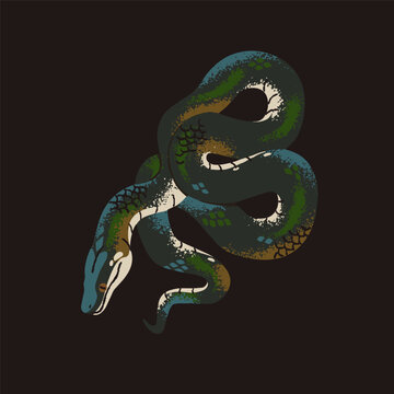 Rainbow boa. White lipped or water python. Tropical snake with patterned scale. Big exotic serpent with glossy skin. Dangerous cold blooded animal. Rainforest fauna. Flat isolated vector illustration