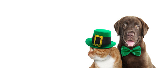 St. Patrick's day celebration. Cute cat in leprechaun hat and dog with green bow tie on white...