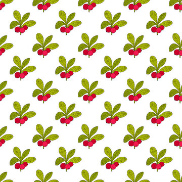 Seamless pattern with Alpine bearberry (Arctous alpina), edible and medicinal plant.