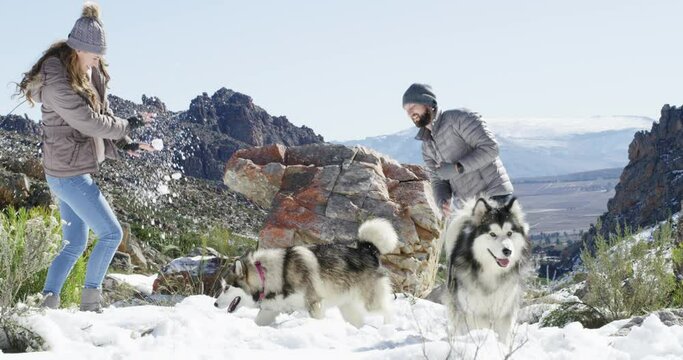 Snow, animals or couple playing a game with freedom, adventure or fun on holiday vacation. Happy man, woman or people on mountain for bond, snowball fight or love in winter with dogs or husky pets