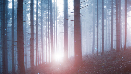 Magic blue purple light in foggy forest fairytale with illustrated glowy fireflies .