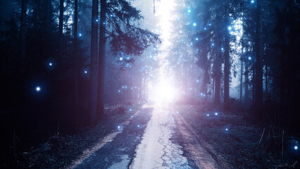 Obraz premium Magic purple blue foggy light in fairy tale forest road with artistic glowy illustrated fireflies.