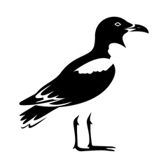 kelp gull bird icon illustration, kelp gull bird silhouette logo svg vector