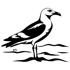 kelp gull bird icon illustration, kelp gull bird silhouette logo svg vector
