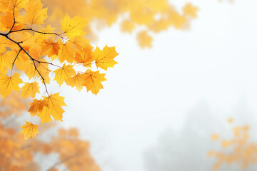 Naklejka na ściany i meble Generative AI Image of Autumn Fall Season Background with Maple Leaves in the Garden