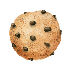 One round cookie with chocolate chips. Pastries drawn in watercolor, illustration for menu, label, packaging, bakery or cafe isolated on white background