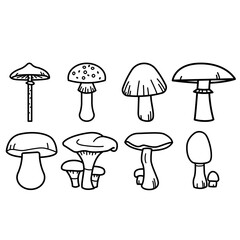 Mushroom vector icon set. fungus illustration sign collection. food symbol.