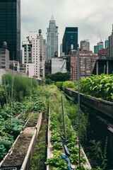 Fototapeta premium Urban Greenhouse Garden with Lush Vegetation Amidst City Towers