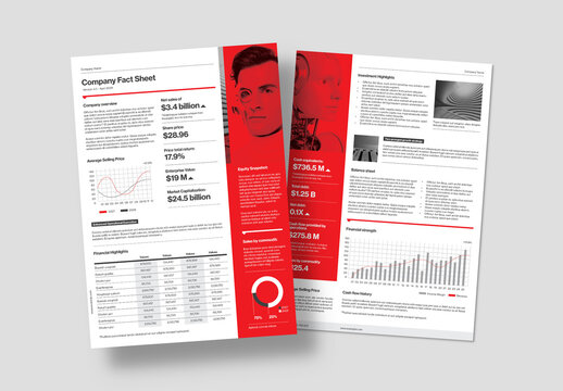 Fact Sheet Layout