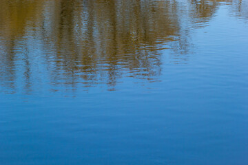 Obraz na płótnie Canvas reflection on water in the park