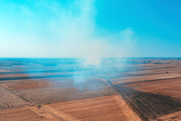 Wheat field stubble burning after the harvesting of grains is one of the major causes of air...