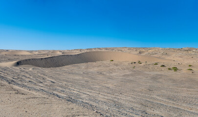 Fototapeta na wymiar sand dunes in Sperrgebiet desert, near Luderitz, Namibia