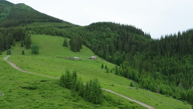 A sheep farm on pasture in the Carpathian highlands