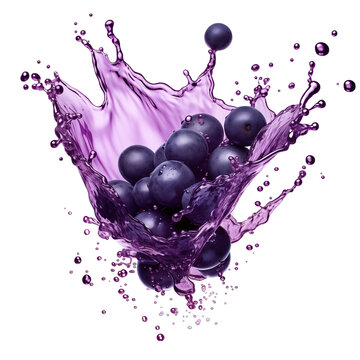 realistic fresh ripe blackcurrant with slices falling inside swirl fluid gestures of milk or yoghurt juice splash png isolated on a white background with clipping path. selective focus