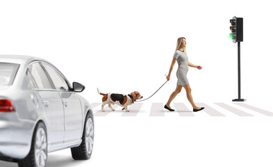 Car waiting and a woman walking with a dog at a pedestrian crossing