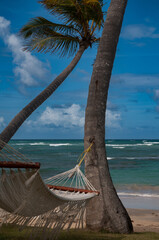 Hamac accroché à palmier sur une plage tropicale - 722832023