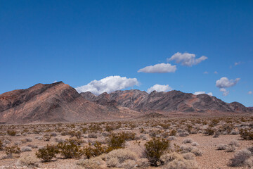 Fototapeta na wymiar Désert du Mojave à Death Valley, Californie, USA. Plaine de cailloux bordée de montagnes et parsemée de buissons secs sous un ciel bleu et nuageux le long de la Racetrack Road.