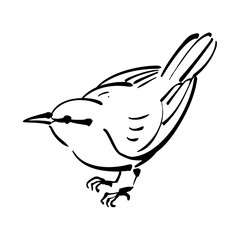 ウグイスの和風イラスト（白黒）。