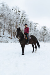 A beautiful brunette girl in a plaid black-and-white shirt walks with a big black horse in a snowy...