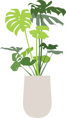 monstera illustration vector color green plants