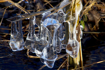 Long icicles hang on a reed in the water course