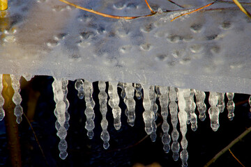 Many drip icicles under the ice in sunshine