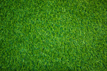 Artificial fake grass texture background on the park