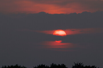 Red sun over treetops in the springtime